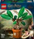 LEGO Harry Potter Mandragora (76433) 1
