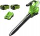 Greenworks 40V dmuchawa/odkurzacz Greenworks GD40BVIIK2x zestaw ładowarka + 2x aku 2Ah 3
