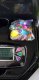Board game Trivial Pursuit Family Edition (In English lang.) 7