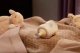 Avent SCY670/02-RESPONSYWNA BUTELKA 125ML 4