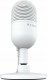 Mikrofon Razer Seiren V3 Mini (RZ19-05050300-R3M1) 2