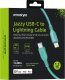 Kabel USB Innostyle USB-C - Lightning 1 m Zielony 1