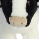 ECO NATION AURORA Eco Nation plush Cow, 25 cm 4