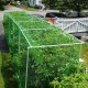Heckermann Siatka ochronna przeciw ptakom Heckermann 8x20m 2