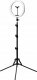 Lampa pierścieniowa Activeshop GLOW lampa pierścieniowa ring 10" RGB bsc ze statywem 10W 1