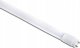 Świetlówka Ecolight Świetlówka LED 25W 150cm T8 G13 2500lm 6500K zimna Glass Eco EC79542 Eco Light 2