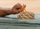 Figurka Schleich Figurka młody karakal 4