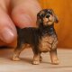 Figurka Schleich Figurka Jamnik Szorstkowłosy 3