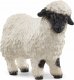 Figurka Schleich Figurka Owca Walliserska Czarnonosa 1