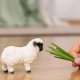 Figurka Schleich Figurka Owca Walliserska Czarnonosa 1