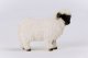 Figurka Schleich Figurka Owca Walliserska Czarnonosa 4