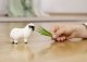 Figurka Schleich Figurka Owca Walliserska Czarnonosa 7