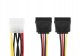 Kabel zasilający Accura Accura SATA III - SATA III 0.5m czerwony 4