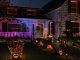 Philips Philips Hue Festavia girlanda 250 6