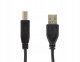 Kabel USB Accura USB 2.0 - USB-B ferryt 1.8m czarny 2