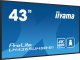 Monitor iiyama ProLite LH4365UHSB-B1 2