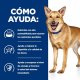 Hills  HILL'S PD Canine Digestive Care Low Fat i/d Stew - mokra karma dla psa - 354 g 5
