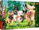 Trefl Puzzle 1000 elementów Premium Plus Tea Time Nadchodzą kłopoty! 1