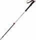 Black Diamond Kije Skitourowe Black Diamond Expedition 2 Ski Poles 155 cm 1