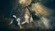 Gra Xbox Series X ELDEN RING Shadow of the Erdtree Edition 2