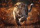 Trefl Puzzle 1000 elementów Premium Dziki Leopard 1
