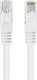 Lanberg Patchcord Lanberg UTP kat.6 2m biały 10-Pack 2