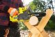 Piła łańcuchowa Ryobi PILARKA ÅAÅCUCHOWA AKUMULATOROWA RY18CS20A-0 20CM 18V 0*AH 1