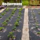 Heckermann Agrowłóknina antychwastowa mata Heckermann - 1,6 x 10 m - 100g/m2 Czarna 10