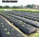 Heckermann Agrowłóknina antychwastowa mata Heckermann - 1,6 x 10 m - 100g/m2 Czarna 3