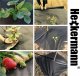 Heckermann Agrowłóknina antychwastowa mata Heckermann - 1,6 x 10 m - 100g/m2 Czarna 6