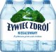 Woda Żywiec Zdrój Żywiec Zdrój Niegazowany Woda źródlana 1 l 9
