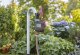 Gardena GARDENA Pipeline Garden Faucet (grey/silver) 7