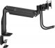 V7 Uchwyt biurkowy na monitor 17" - 32" (DM1HDD) 4