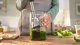 Blender Bosch MSM6M610 6