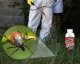 NO PEST Permetryna do Zwalczania Owadów 1L Oprysk Środek Preparat Płyn na Kleszcze Komary Muchy Osy Pluskwy Pająki i Inne Owady 6