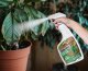 NO PEST Spray do Roślin na Bazie Tymianku 0,5L Środek Płyn Preparat na Mszyce Ćmę Bukszpanową i Choroby Roślin 4