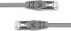 Qoltec Kabel Patchcord Qoltec FTP | CAT5e | 2 x RJ-45 | 2m 5