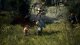 Gra wideo na PlayStation 5 Capcom Dragons Dogma 2 Standard Edition 14