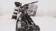 Głowica Manfrotto Głowica Video 504X z płaską bazą 15