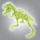 Clementoni Clementoni, Science & Play, Archeofun T-Rex, Puzzle, 61243, For Boys, 7+ years For Boys 1