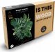 WOOD YOU DO Puzzle drewniane Liście Dżungli | Jungle Leaves | 435 elementów | XXL 6