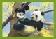 Clementoni PUZZLE 4W1 CLM 21532 BABY CUDDLES PUD 1
