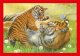 Clementoni PUZZLE 4W1 CLM 21532 BABY CUDDLES PUD 2