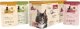 Catz Finefood Catz Finefood Karma Dla Kociąt Mix Saszetki 12x85g 1