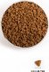 Triton ACANA Indoor Entree Cat 4,5kg 2