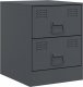 vidaXL Szafki nocne, 2 szt., antracytowe, 34,5x39x44 cm, stal 5
