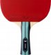 Butterfly Paletka Rakietka do Tenisa Stołowego Ping Pong Team BUTTERFLY Advance 4