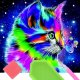 Norimpex *****Diamentowa mozaika Kot kolorowy 1009537 12