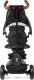 Qplay Qplay Rowerek Trójkołowy Rito Deluxe Rubber Black 4