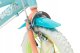 Bluey Rower dziecięcy Bluey 12" Niebieski Kolor Zielony 5